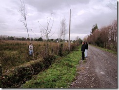 electrificación rural (9)