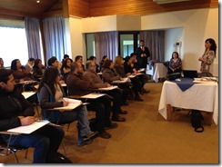 Curso Villarrica 2