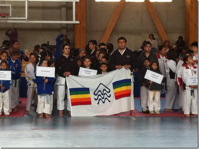 club karate 12 medallas (1)