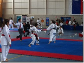 club karate 12 medallas (2)