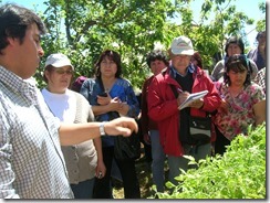 Agricultores del Prodesal Pucón recibieron capacitación en Purranque, región de Los Lagos (3)