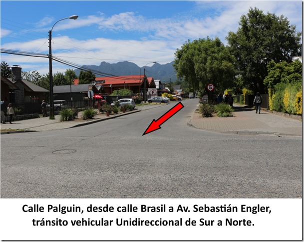 Palguin 