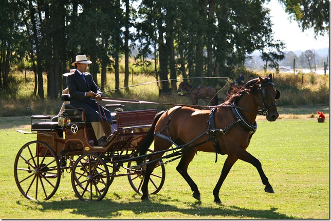 carros de enganche