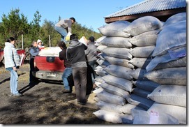 Entrega Villarrica (1)