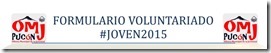 IMAGEN formulario voluntariado joven 2015