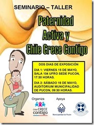 FLYER taller paternidad actividad y chile crece contigo