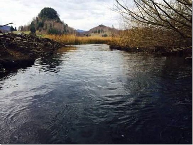 FOTO protección laguna ancapulli 1