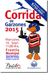 FLYER corrida de los garzones