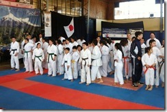 FOTO el karate se destaca en la ciudad de pucón