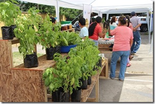 FOTO apertura mercado agroecológico 1