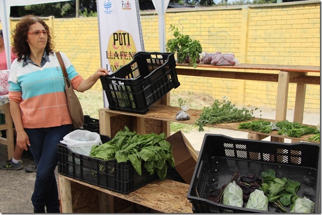 FOTO apertura mercado agroecológico 2