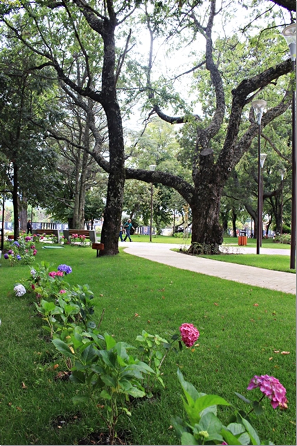 FOTO apertura plaza de armas 4