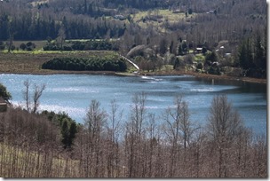 FOTO protección laguna ancapulli 2