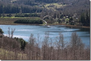 FOTO protección laguna ancapulli 2