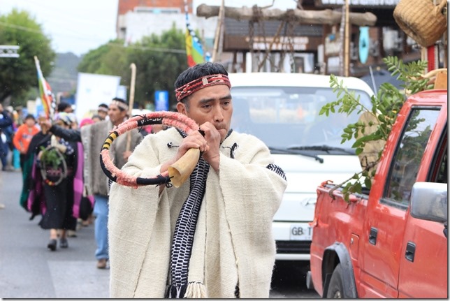 FOTO desfile comunitario 11