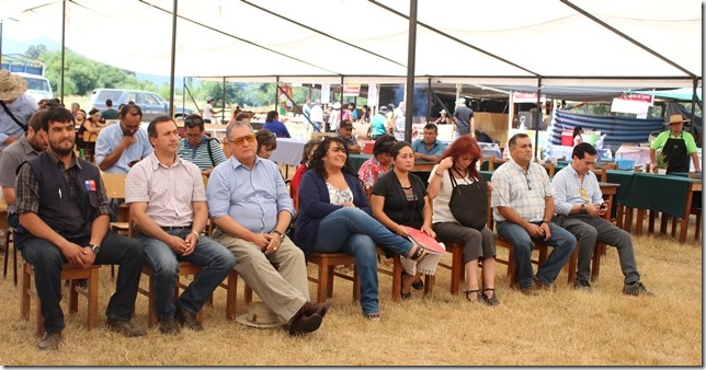 FOTO inauguración feria palguín bajo 2