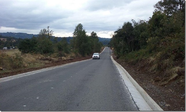 Camino Chesque - Chaura en Villarrica (3)