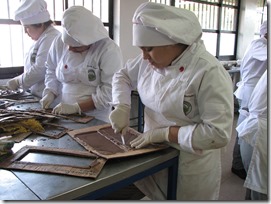 Liceo Politecnico de Villarica - Chocolate1