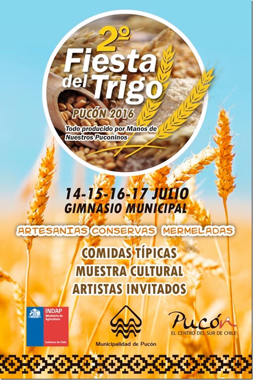 AFICHE fiesta del trigo