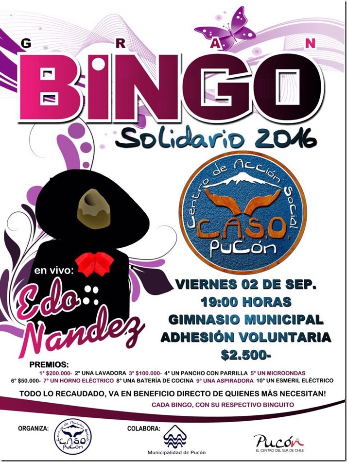 AFICHE bingo solidario