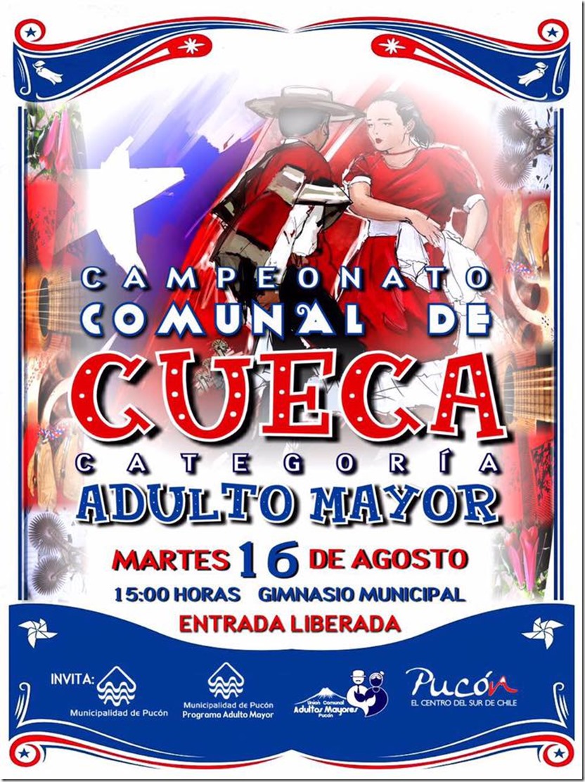 AFICHE campeonato de cueca