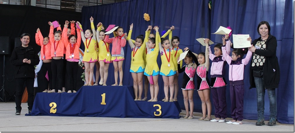 FOTO gimnasia artística 1 (1)