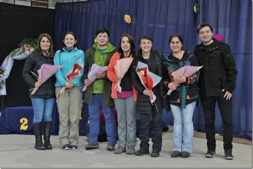 FOTO gimnasia artística 6