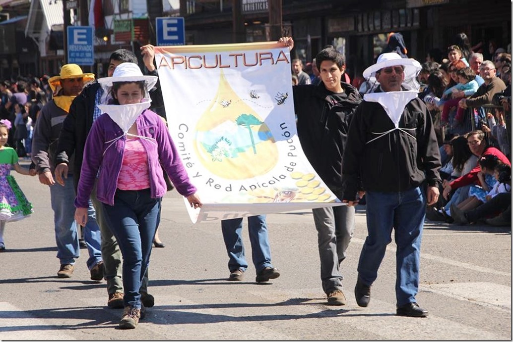 FOTO desfile patriótico 11