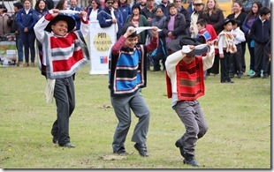 FOTO desfiles comunitarios 1