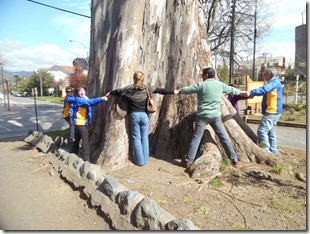 FOTO recorrido turístico 2