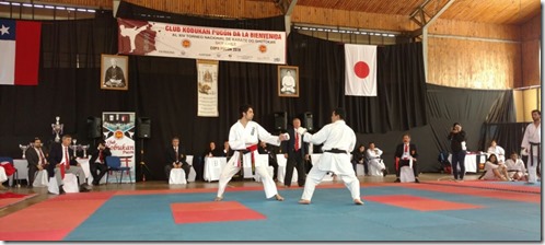 FOTO campeonato karate 2