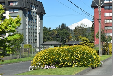 Mejora la imagen paisajística de la comuna (1)