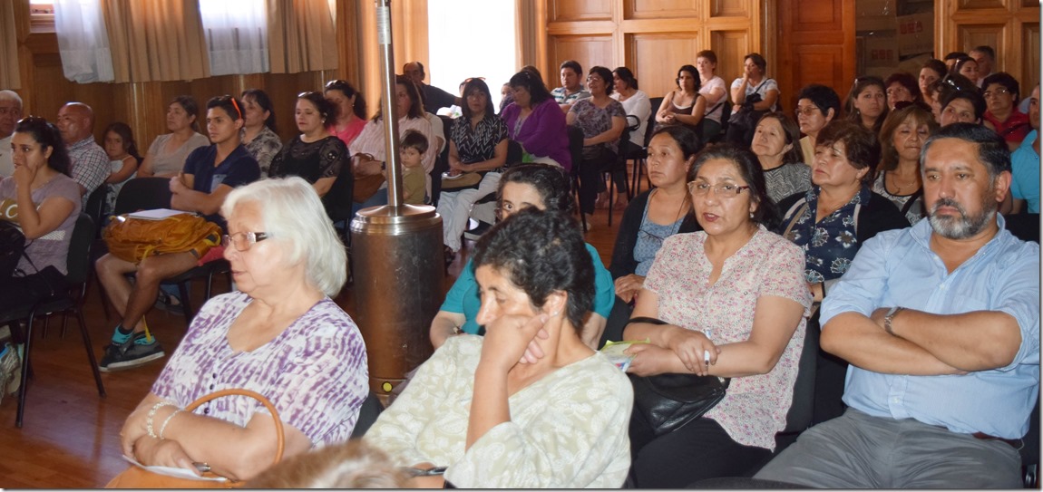 85 Familias de Villarrica se beneficiarán con proyecto de colectores solares  (1)