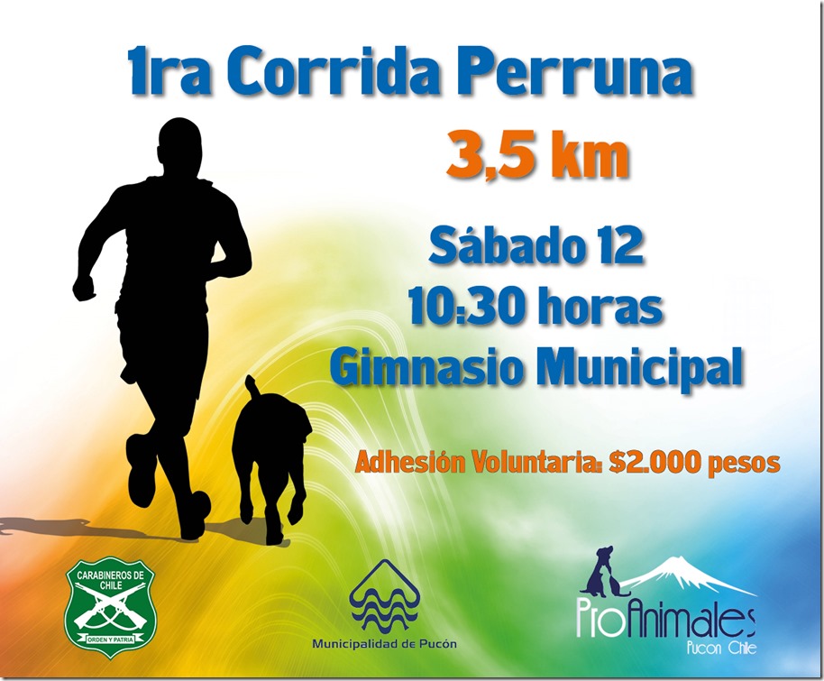 AFICHE corrida perros