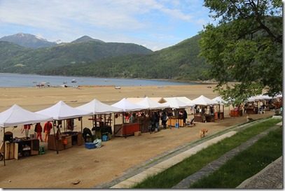 FOTO feria en caburgua 2