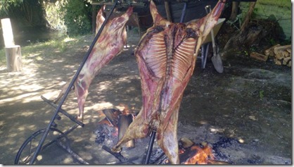 asado de cordero más largo del mundo  (1)