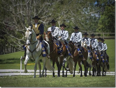 Caballos Españoles andaluces