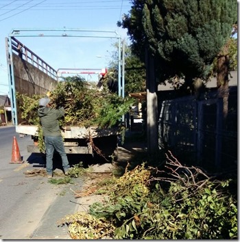 FOTO basura domiciliaria 2