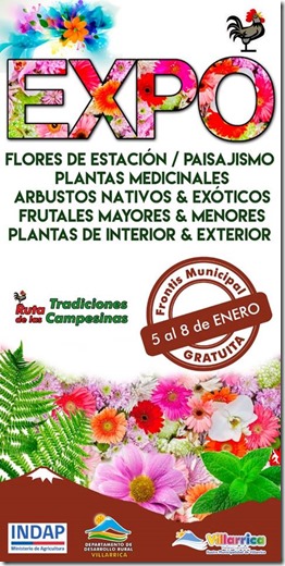 expocicion de flores