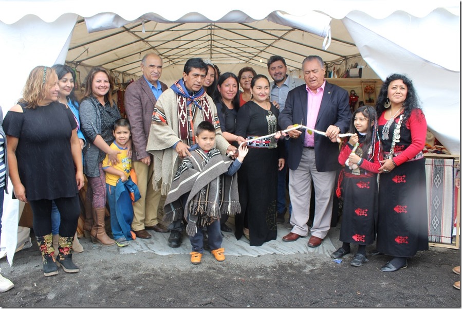 feria mapuche2