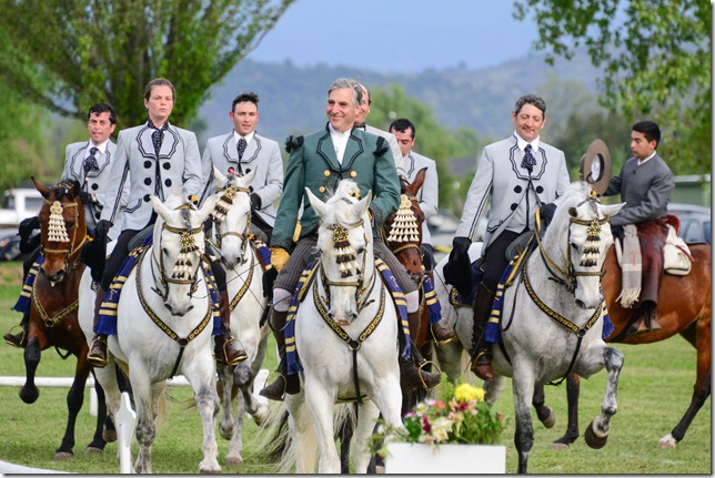 FOTO caballos andaluces 1