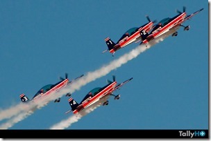 aviacion-show-aereo-halcones-fae - copia