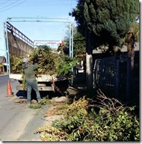 FOTO operativo escombros y ramas