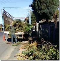 FOTO operativo escombros y ramas