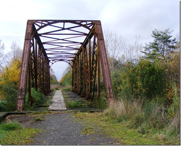 Puente Ferrocarriles 07_06_11 (1)