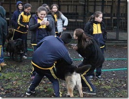 FOTO visita refugio canino 3