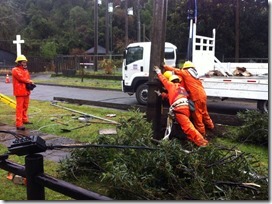 Brigadas en terreno