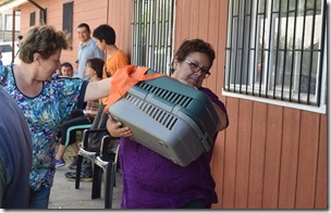 Campaña Esterilizacion 3