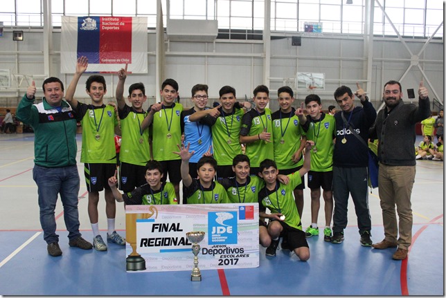Colegio ALberto Hurtado de Villarrica Campeones Varones sub 14 balonmano