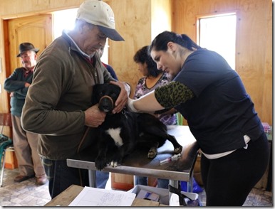 FOTO operativo veterinario septiembre